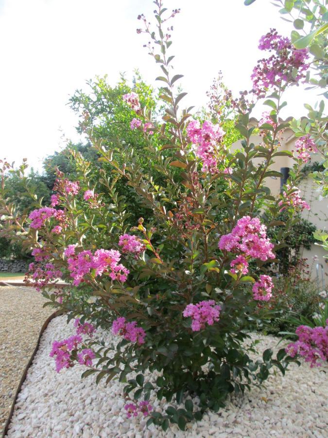 Uzès Mazet De La Lavande מראה חיצוני תמונה